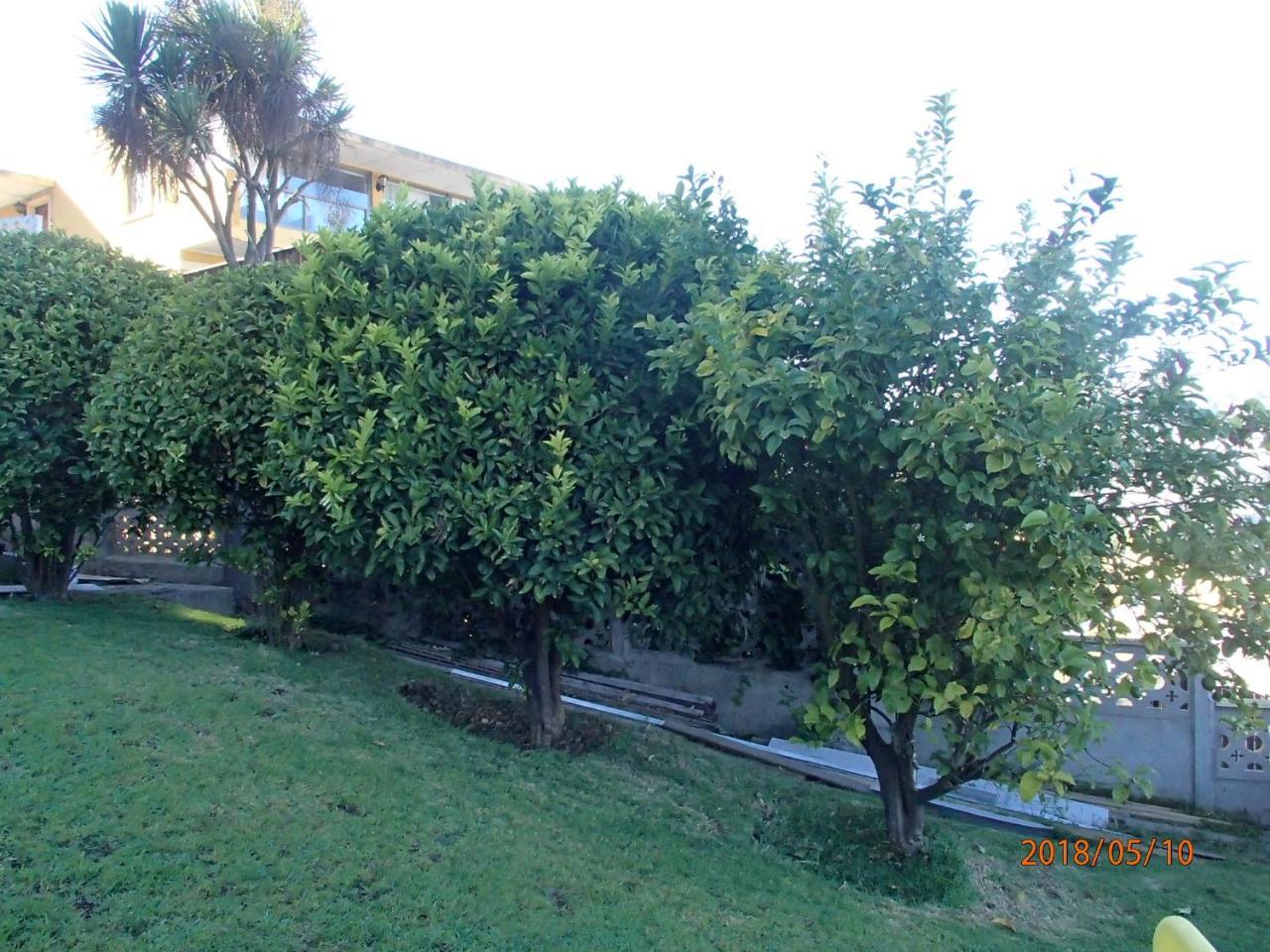 וינה דל מר Hotel Camino Del Alto מראה חיצוני תמונה